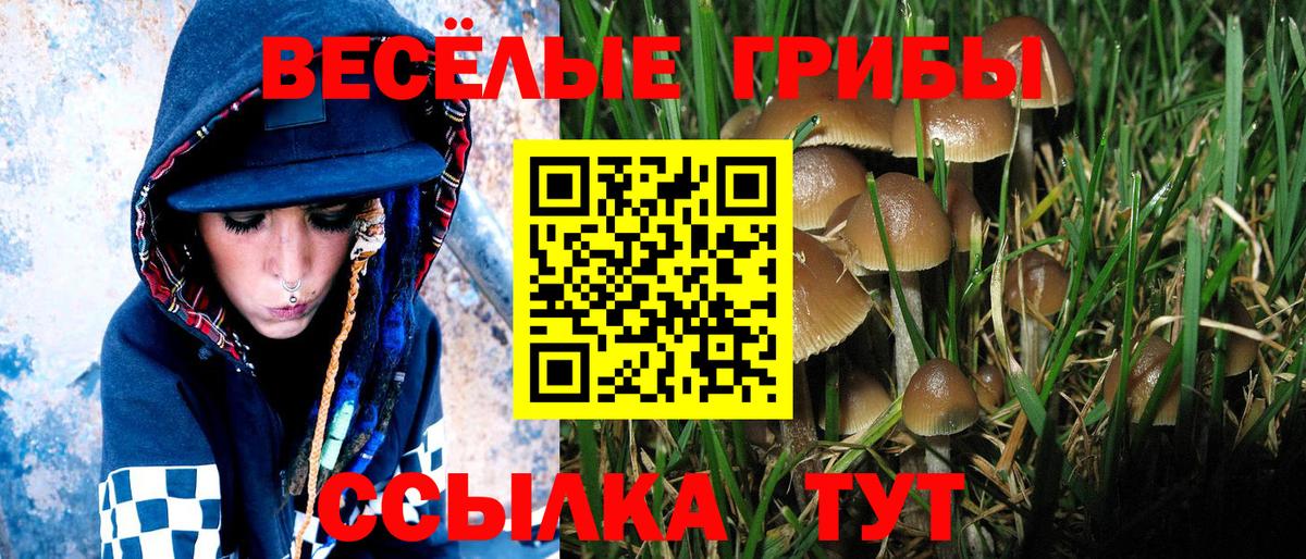 Галлюциногенные грибы MAGIC MUSHROOMS  Псилоцибиновые грибы мухоморы  Оренбург  дарнет шоп  Вход с VPN 